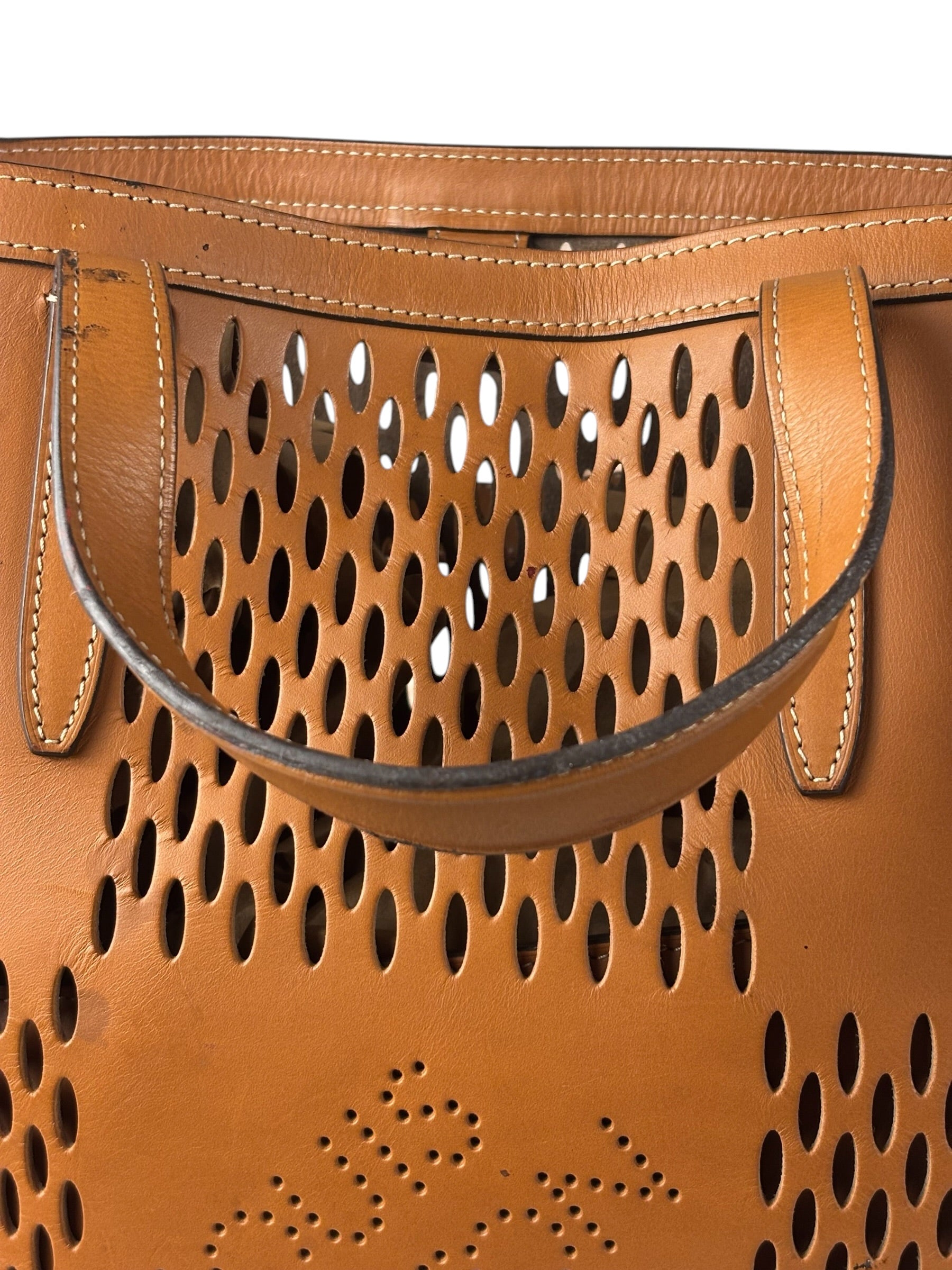 Louis Vuitton Cognac Damier Nomade Oversized Tote