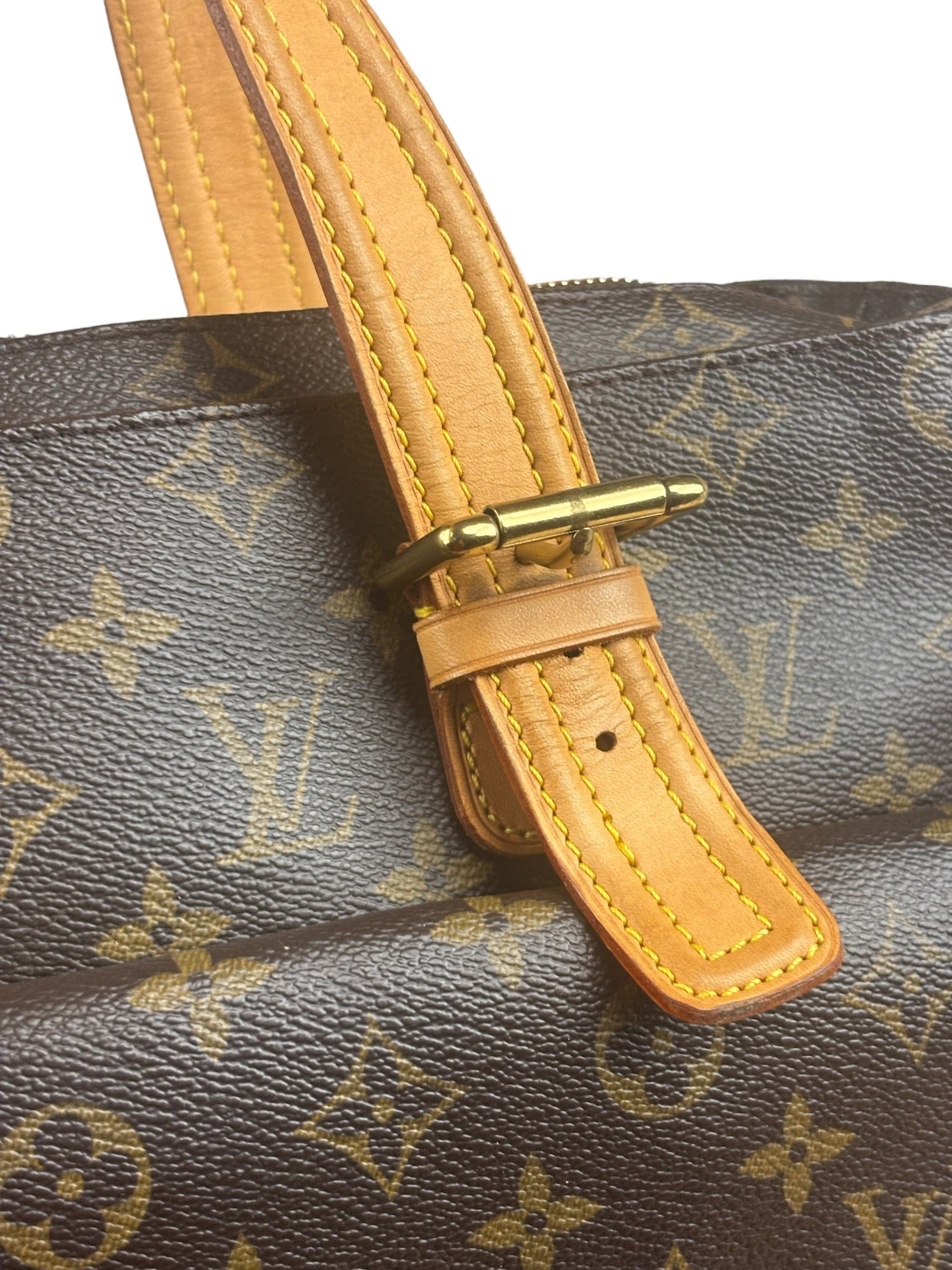 Louis Vuitton Monogram Multipli-Cite Shoulder Tote Bag