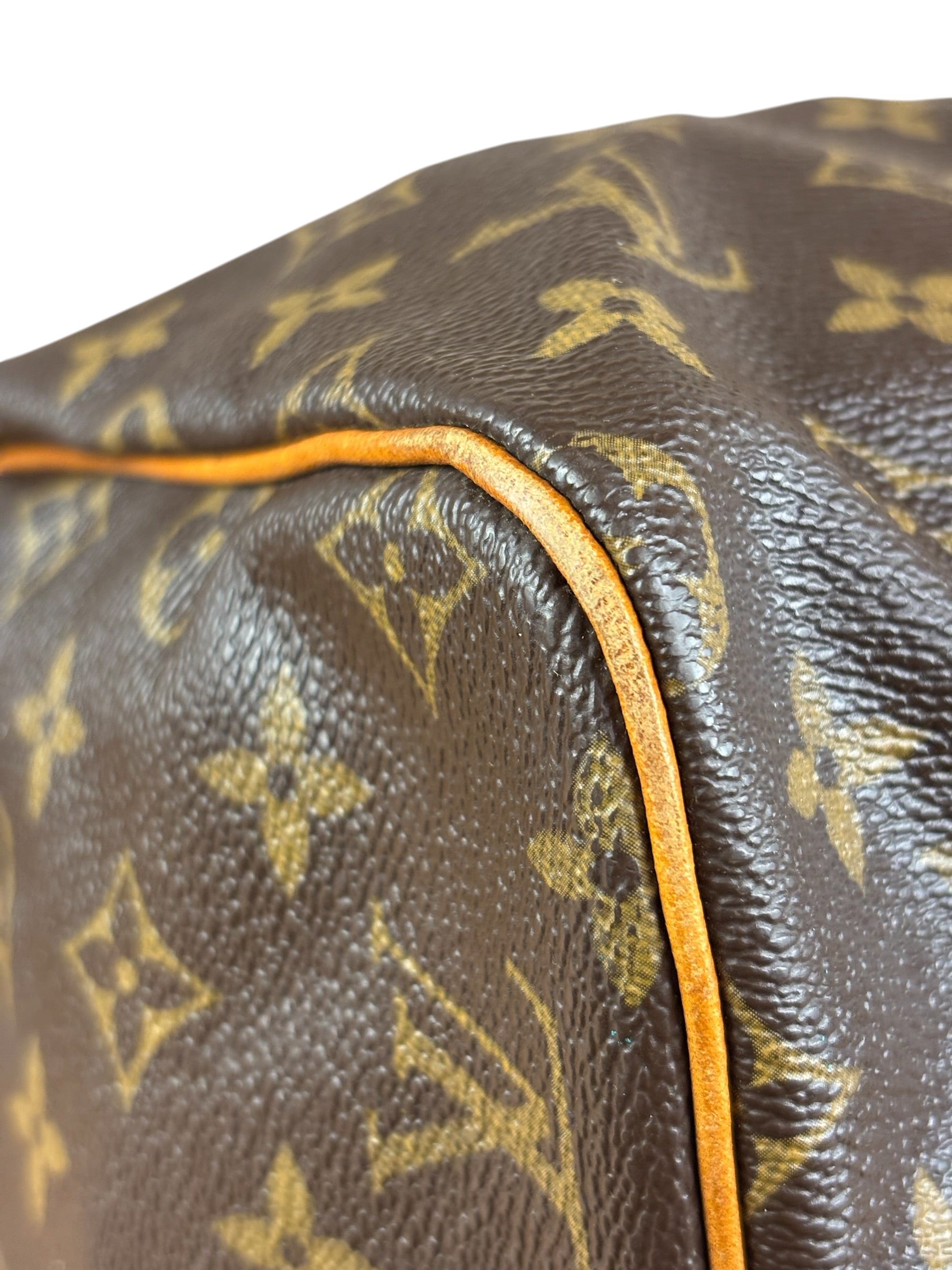 Louis Vuitton Monogram Speedy 25