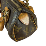 Louis Vuitton Monogram Nano Speedy Bag