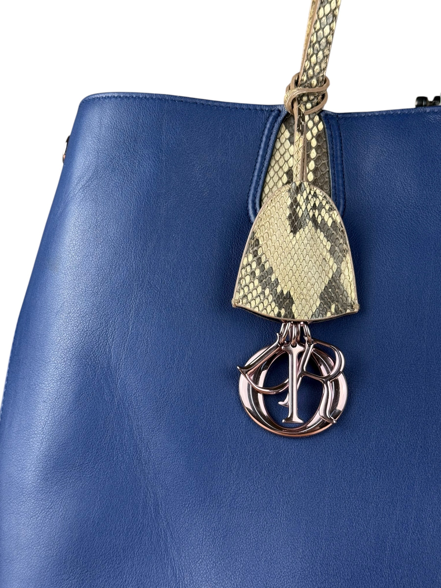 Christian Dior Python Trimmed Blue Addict Tote