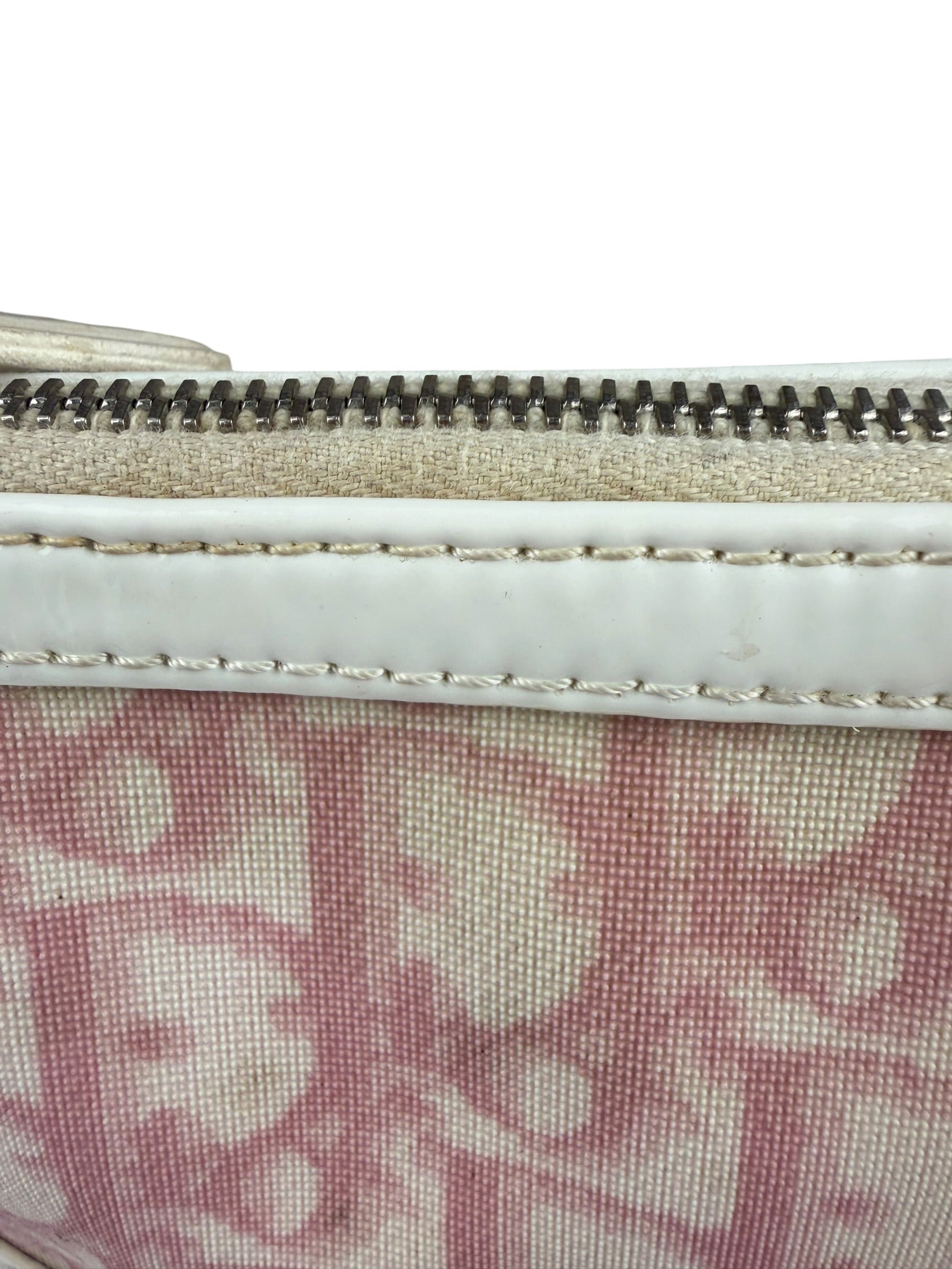 Christian Dior Vintage Monogram Diorissimo Trotter Saddle Pochette