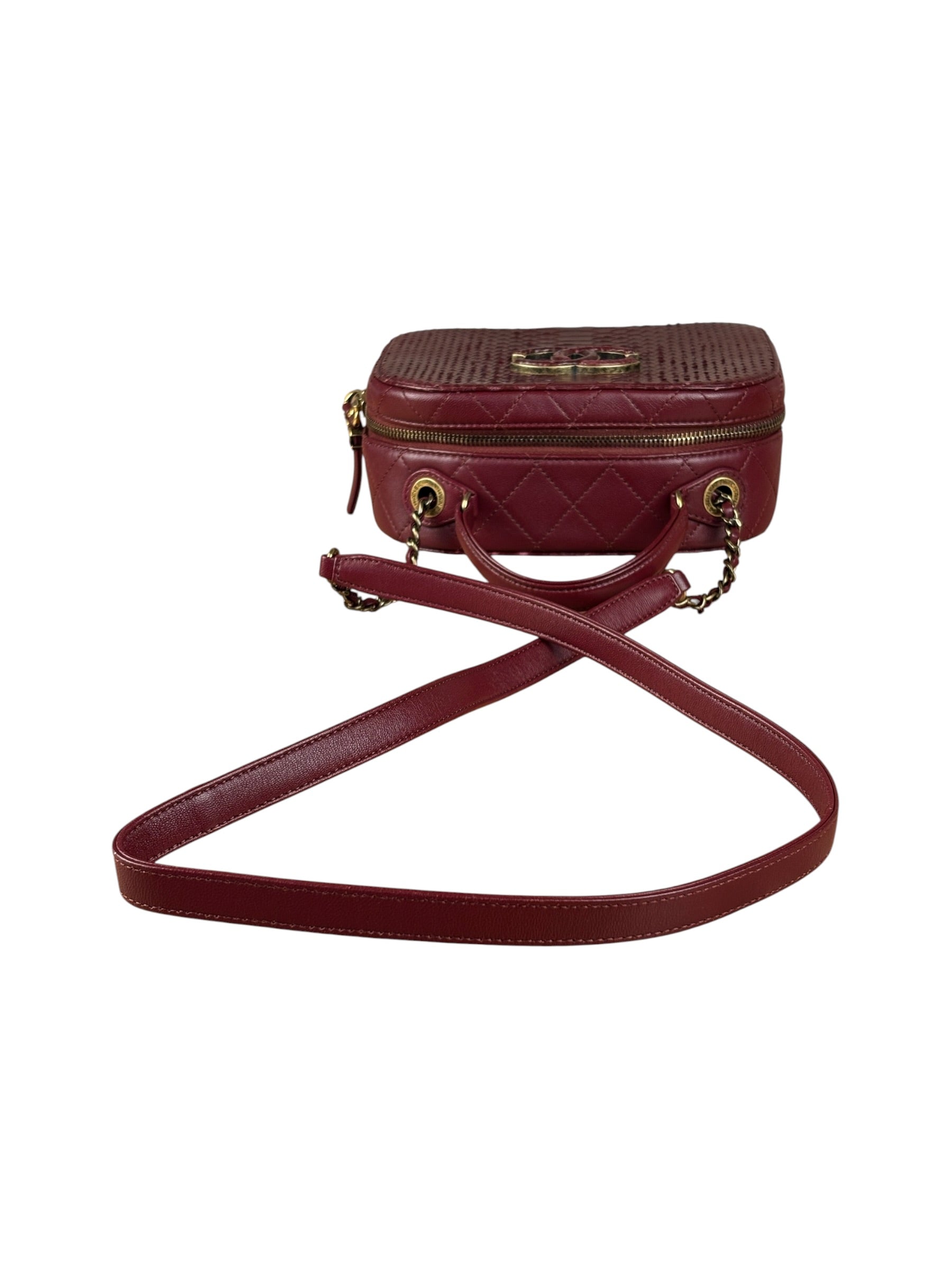 Chanel Burgundy Python Quilted Leather Vanity Two-Way Bag 2017