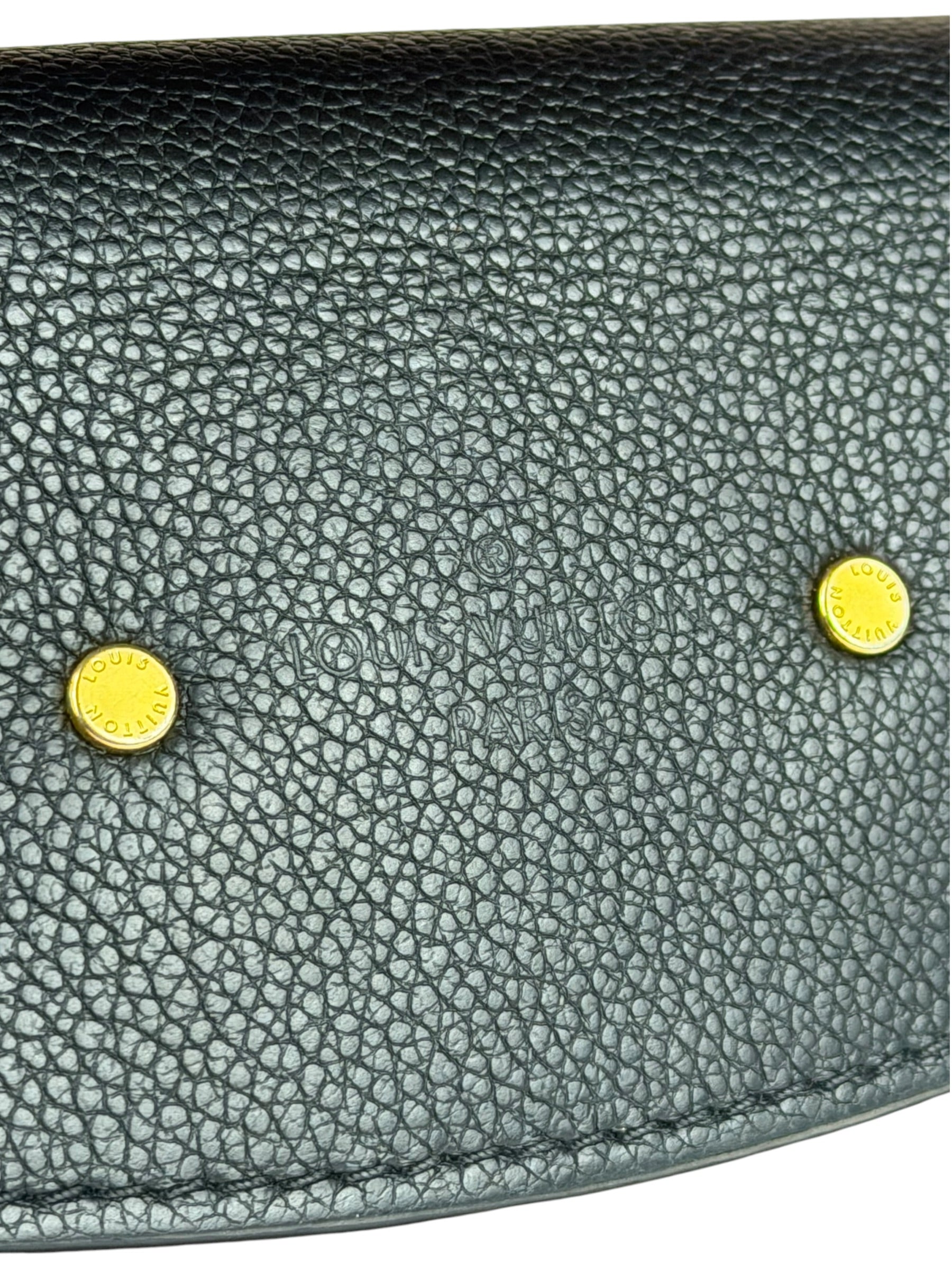Louis Vuitton Colorblock Monogram Saint Placide Shoulder Bag