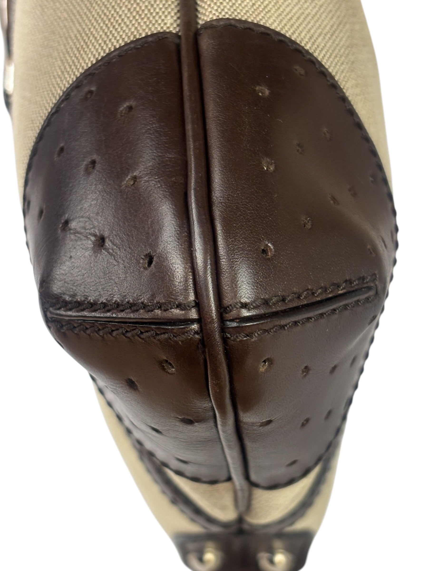 Gucci Brown/Beige Leather Trim Reins Canvas Web Hobo Bag
