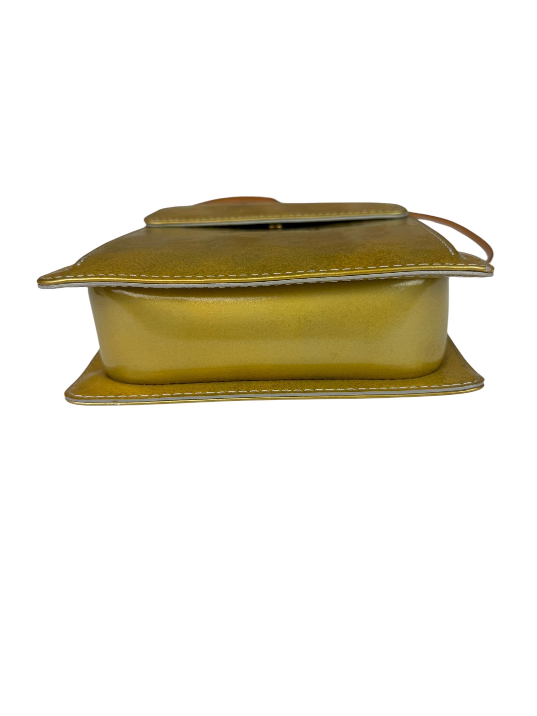 Louis Vuitton Yellow Patent Leather Vernis Mott Accessory Pouch