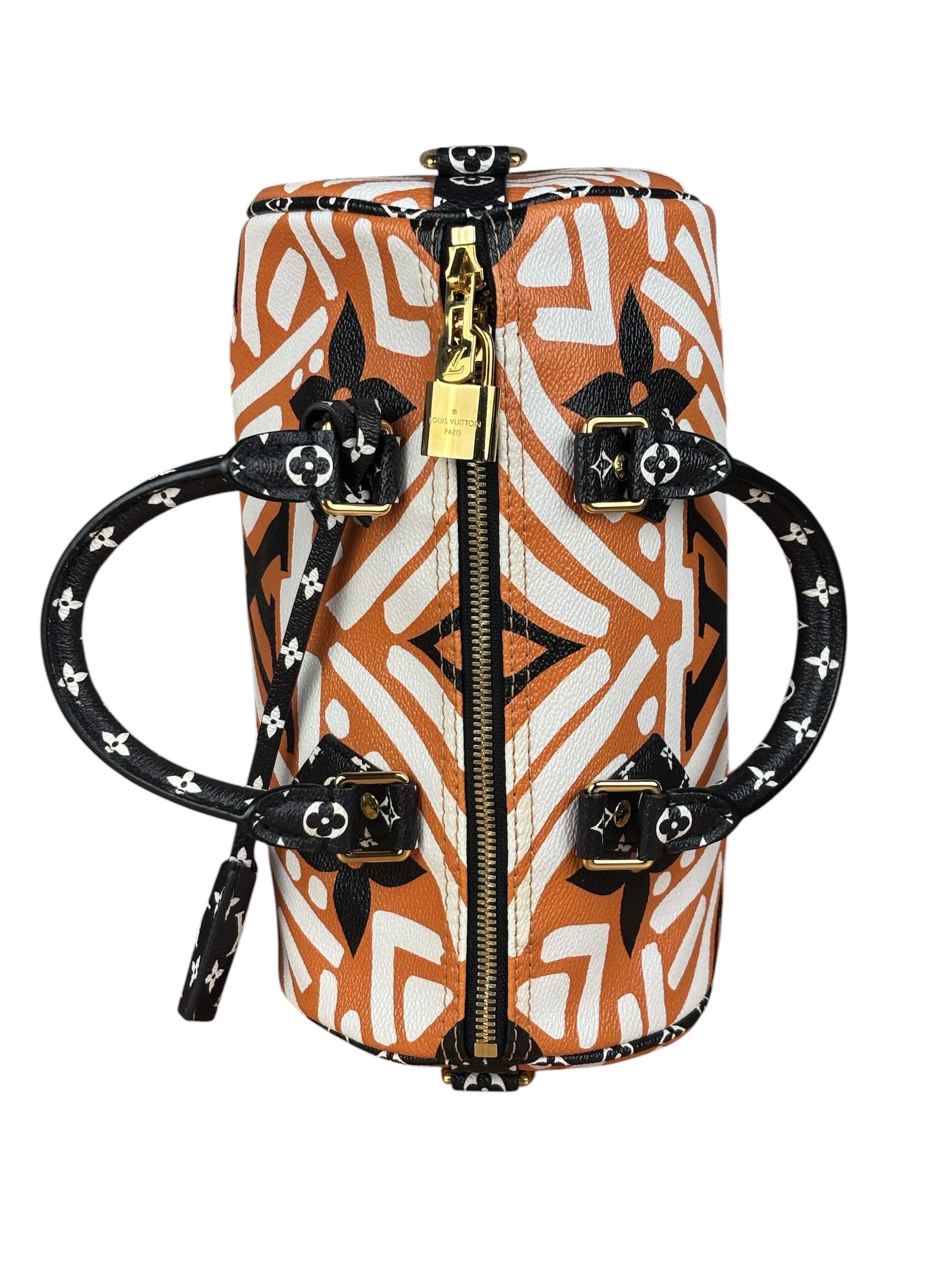 Louis Vuitton Multicolor Crafty Speedy Bandouliere 25