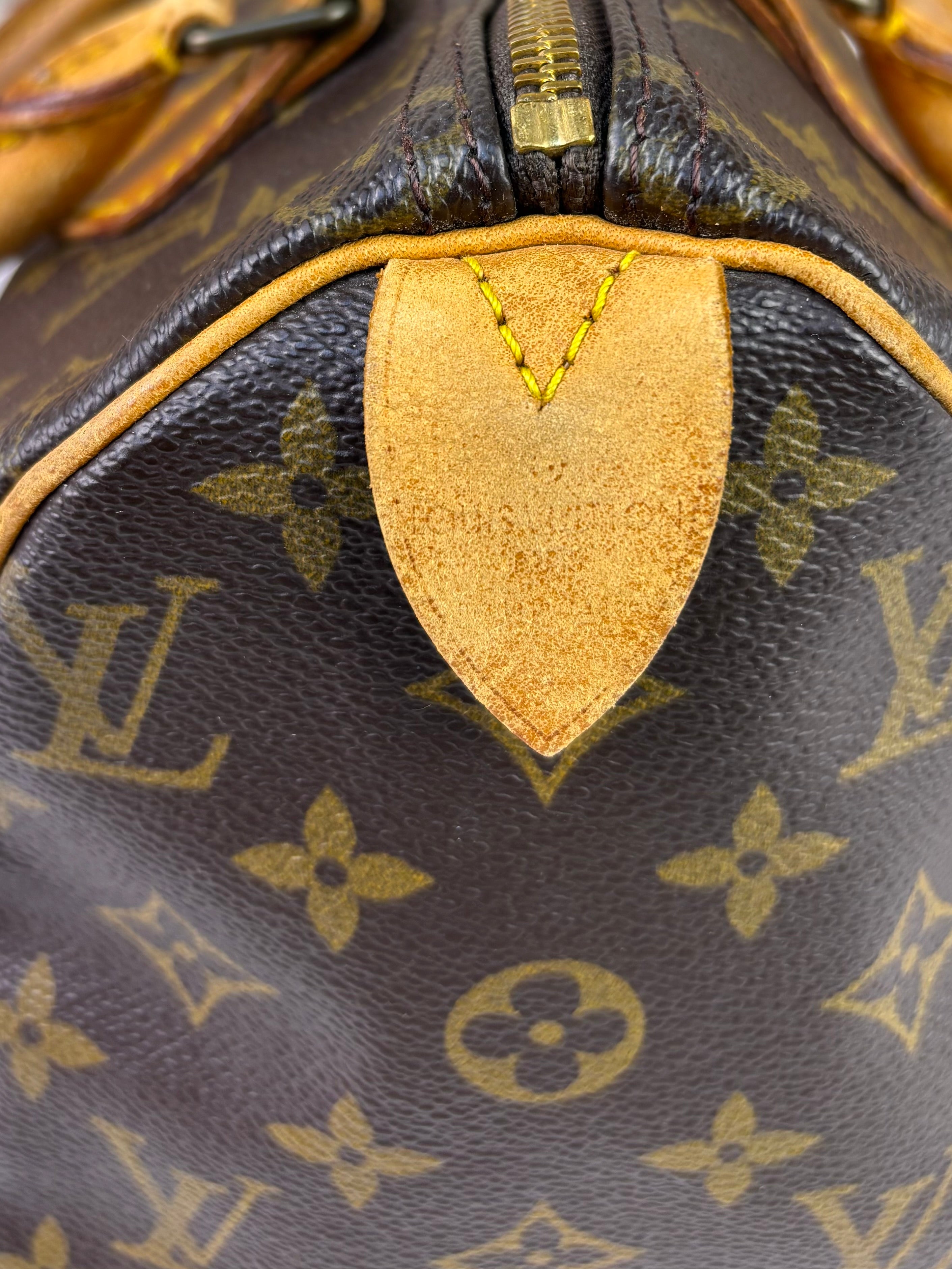 Louis Vuitton Monogram Speedy 25