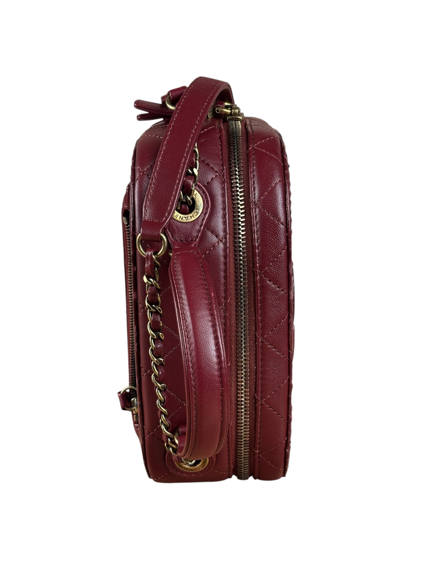 Chanel Burgundy Python Quilted Leather Vanity Two-Way Bag 2017