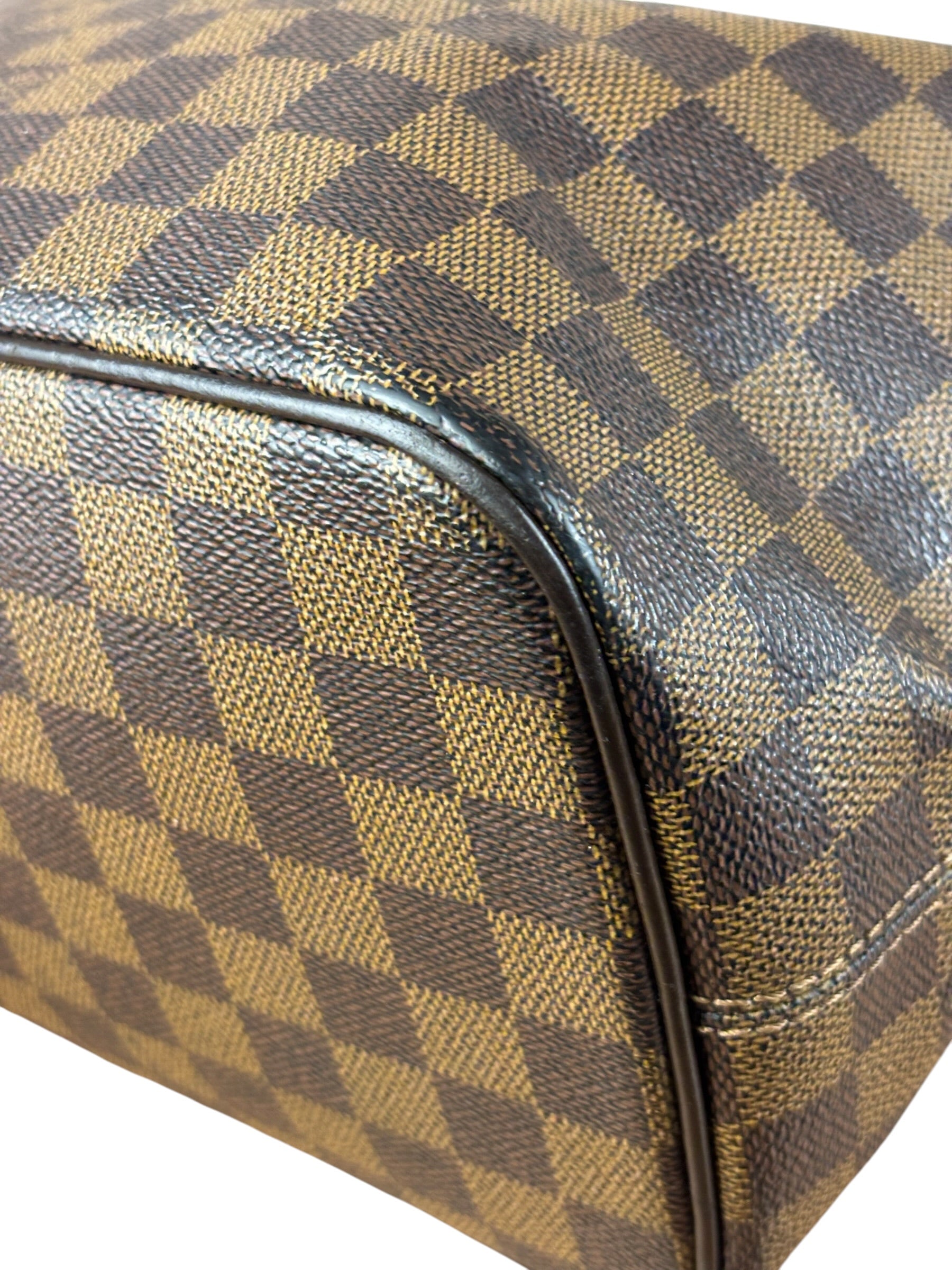 Louis Vuitton Damier Ebene Saleya Tote Bag