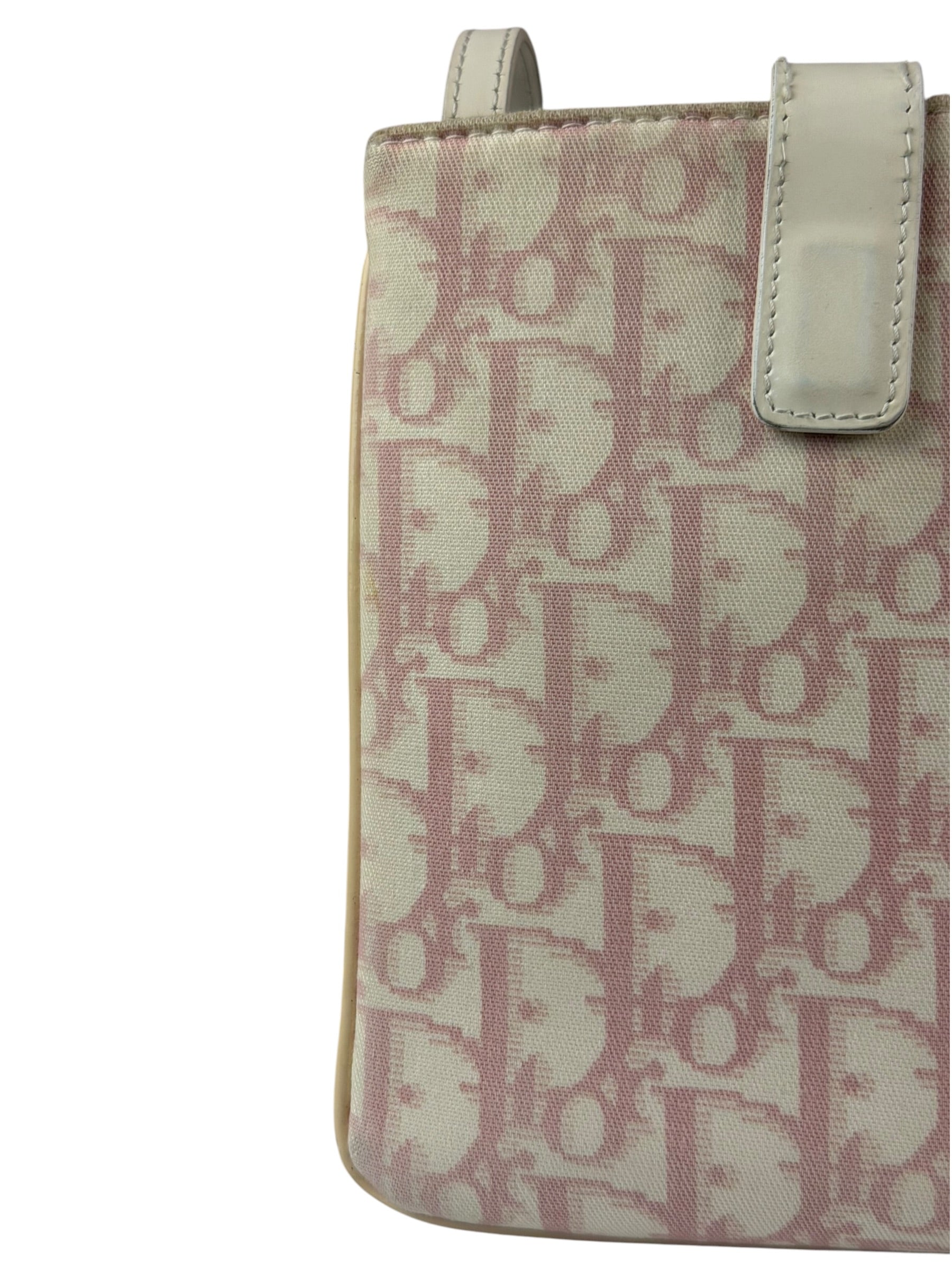Dior Trotter Pink Canvas Crossbody Pouch