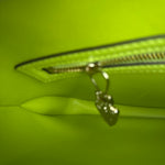 Gucci Jackie Green Medium Leather Shoulder Bag