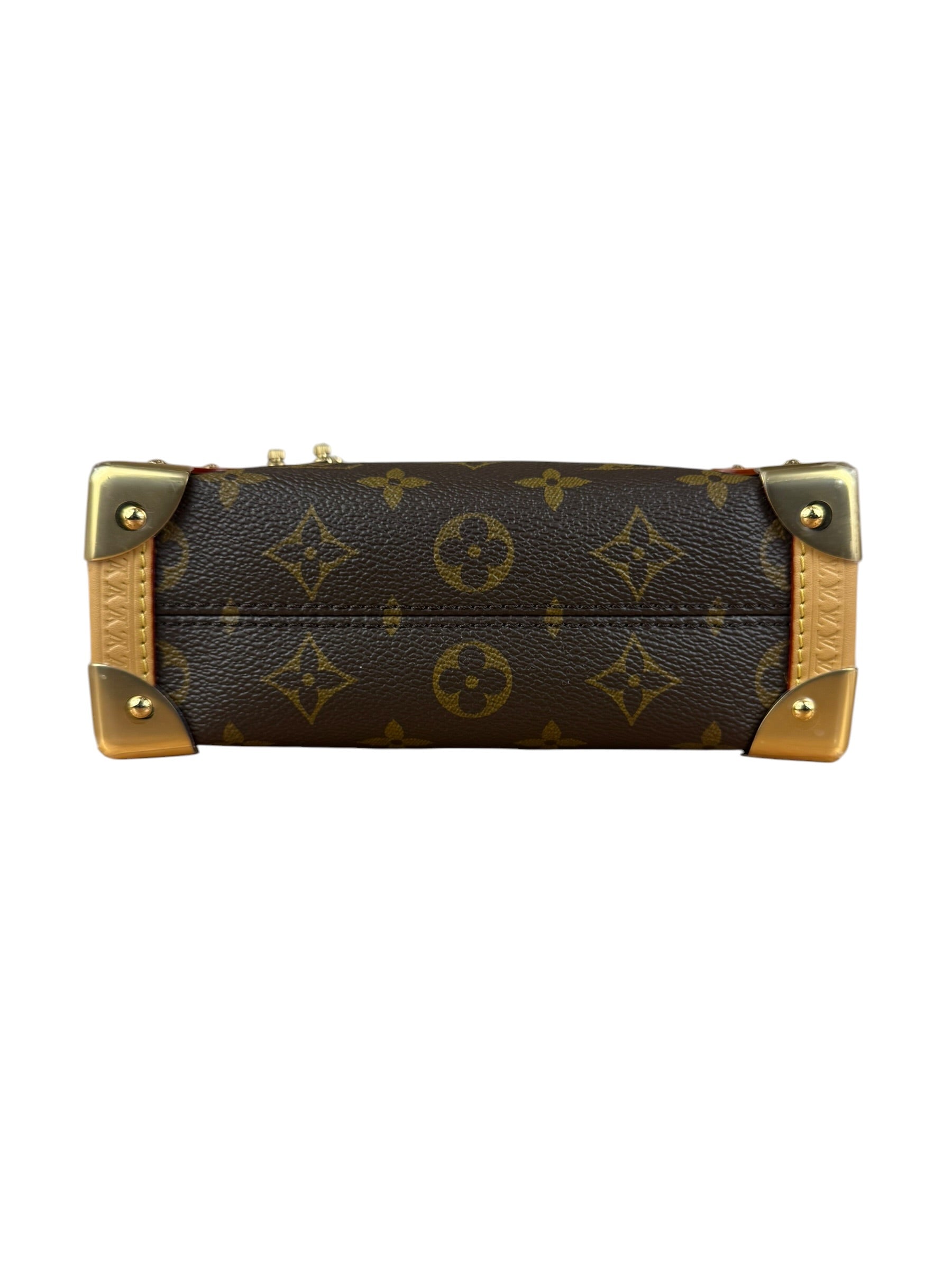 Louis Vuitton Monogram Side Trunk PM