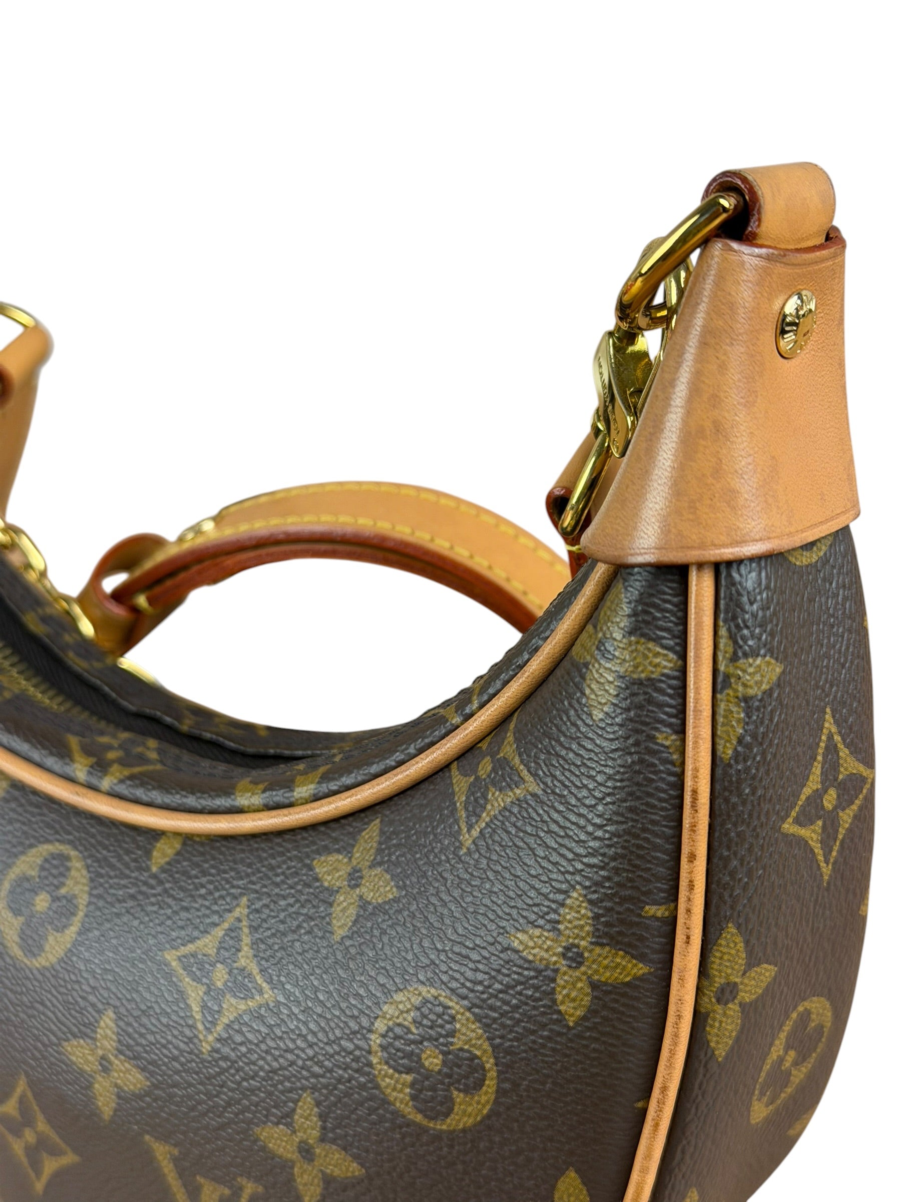 Louis Vuitton Monogram Loop Pochette