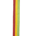 Christian Dior Vintage Trotter Canvas Rasta Crossbody Bag