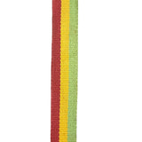 Christian Dior Vintage Trotter Canvas Rasta Crossbody Bag