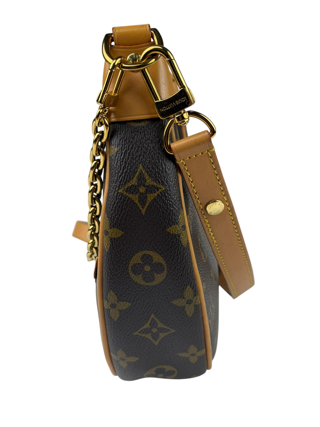 Louis Vuitton Monogram Loop Pochette