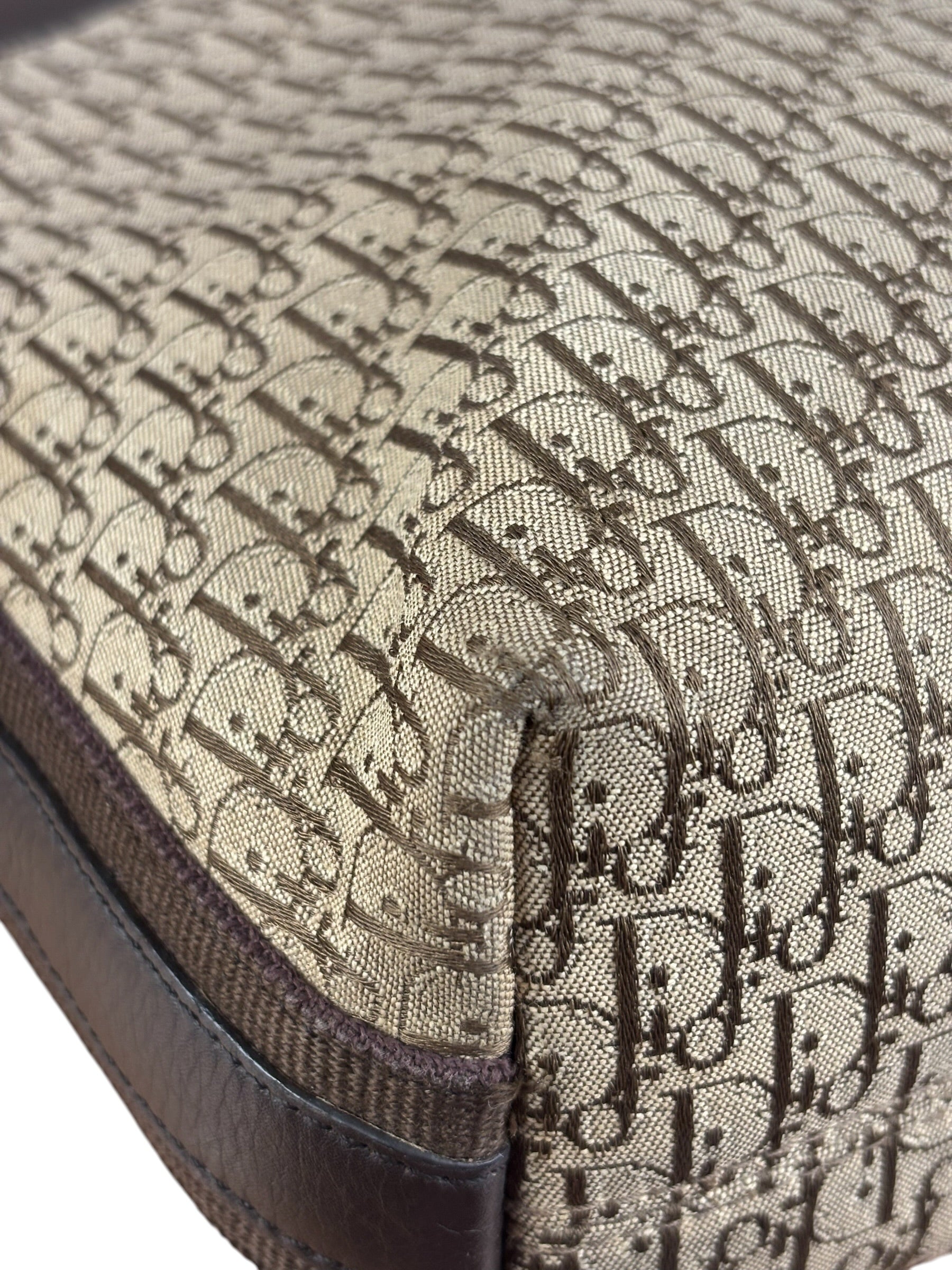Christian Dior Vintage Trotter Street Chic Messenger Bag
