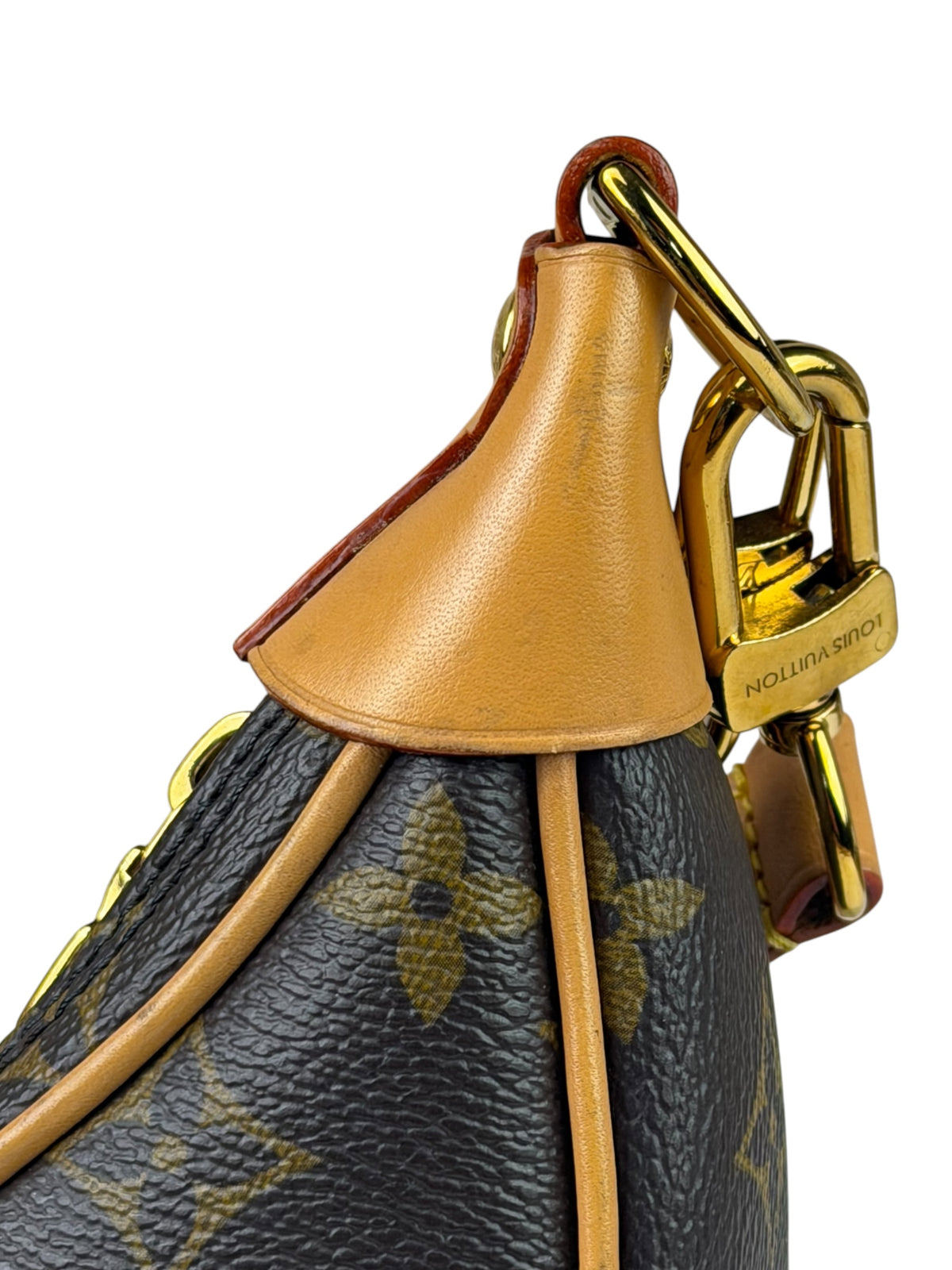 Louis Vuitton Monogram Loop Pochette