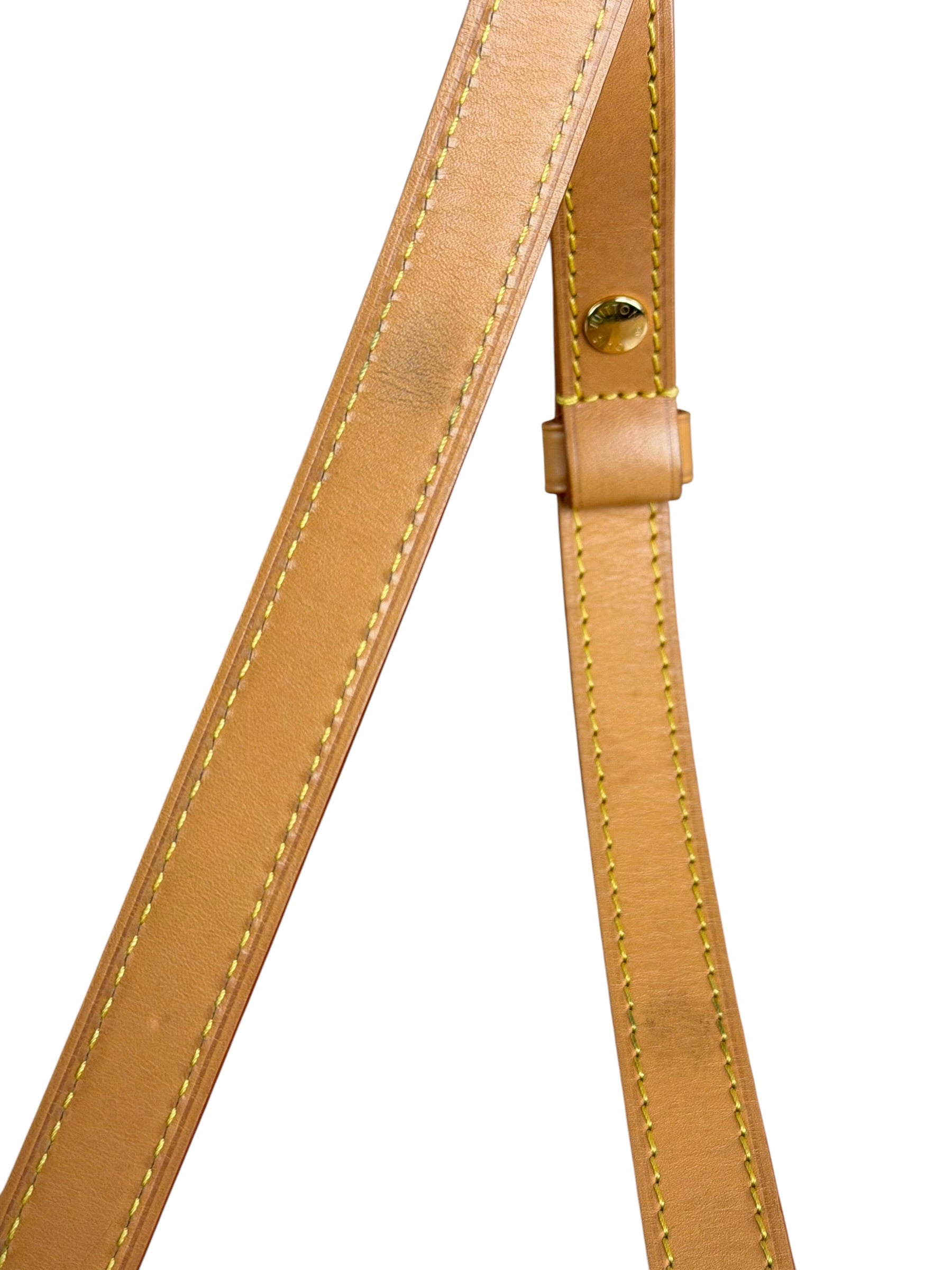 Louis Vuitton Monogram Loop Pochette