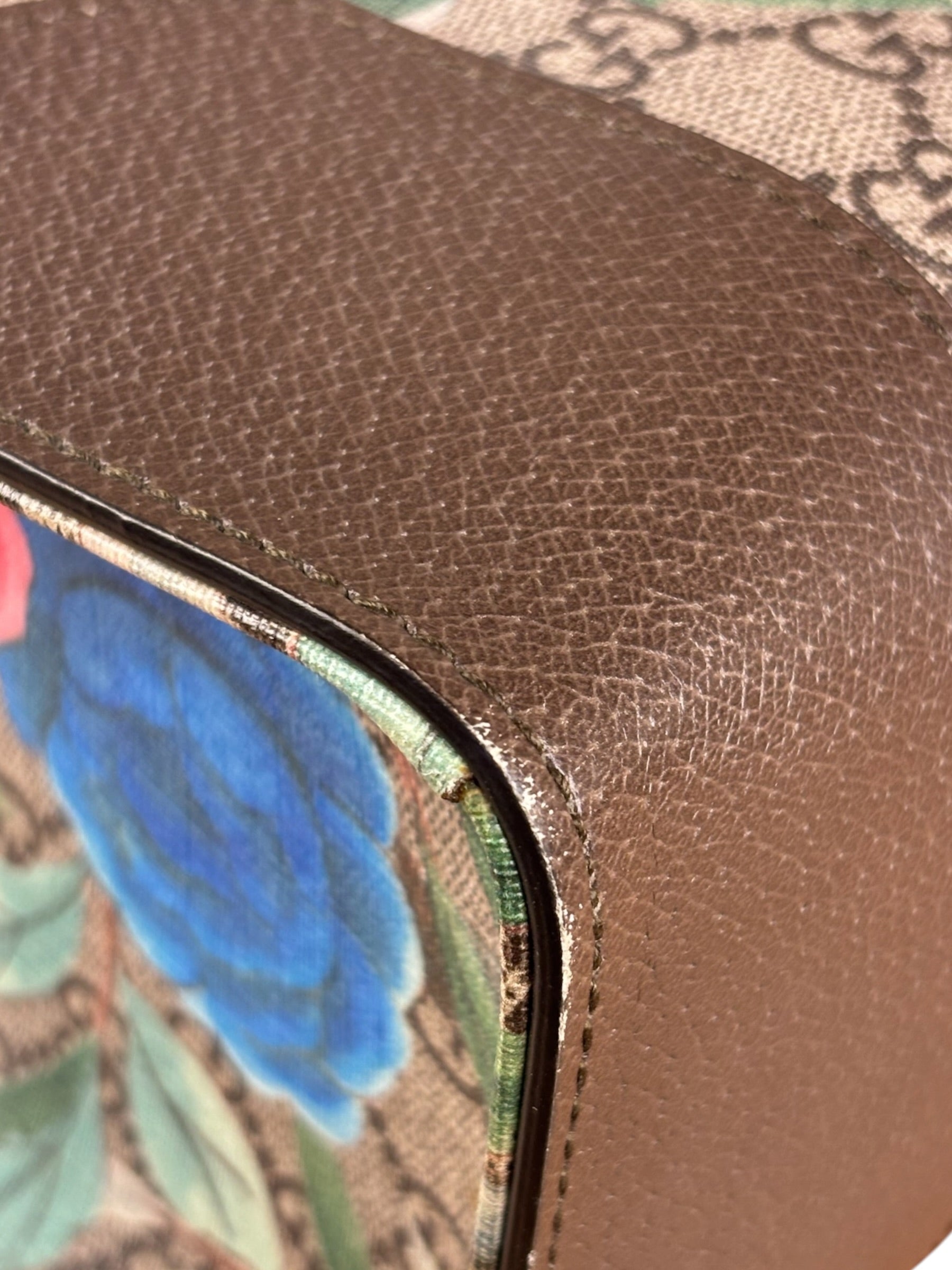 Gucci Brown Leather Trim GG Supreme Tian Vertical Tote Bag