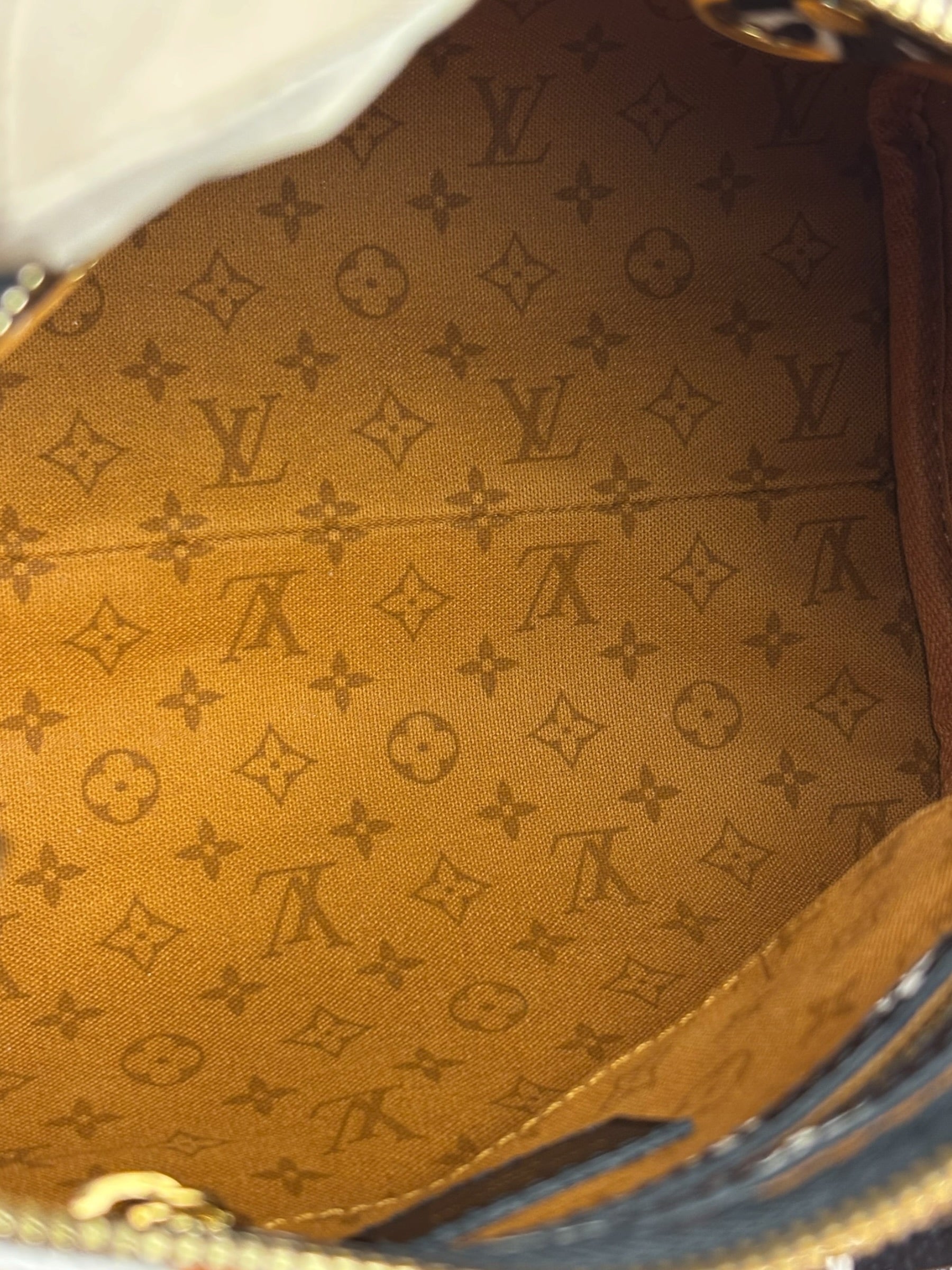 Louis Vuitton Multicolor Crafty Speedy Bandouliere 25