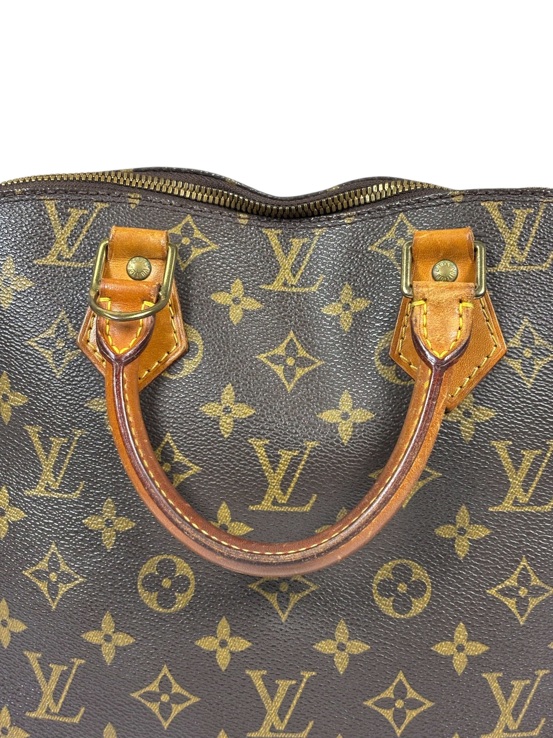 Louis Vuitton Monogram Alma Handbag PM