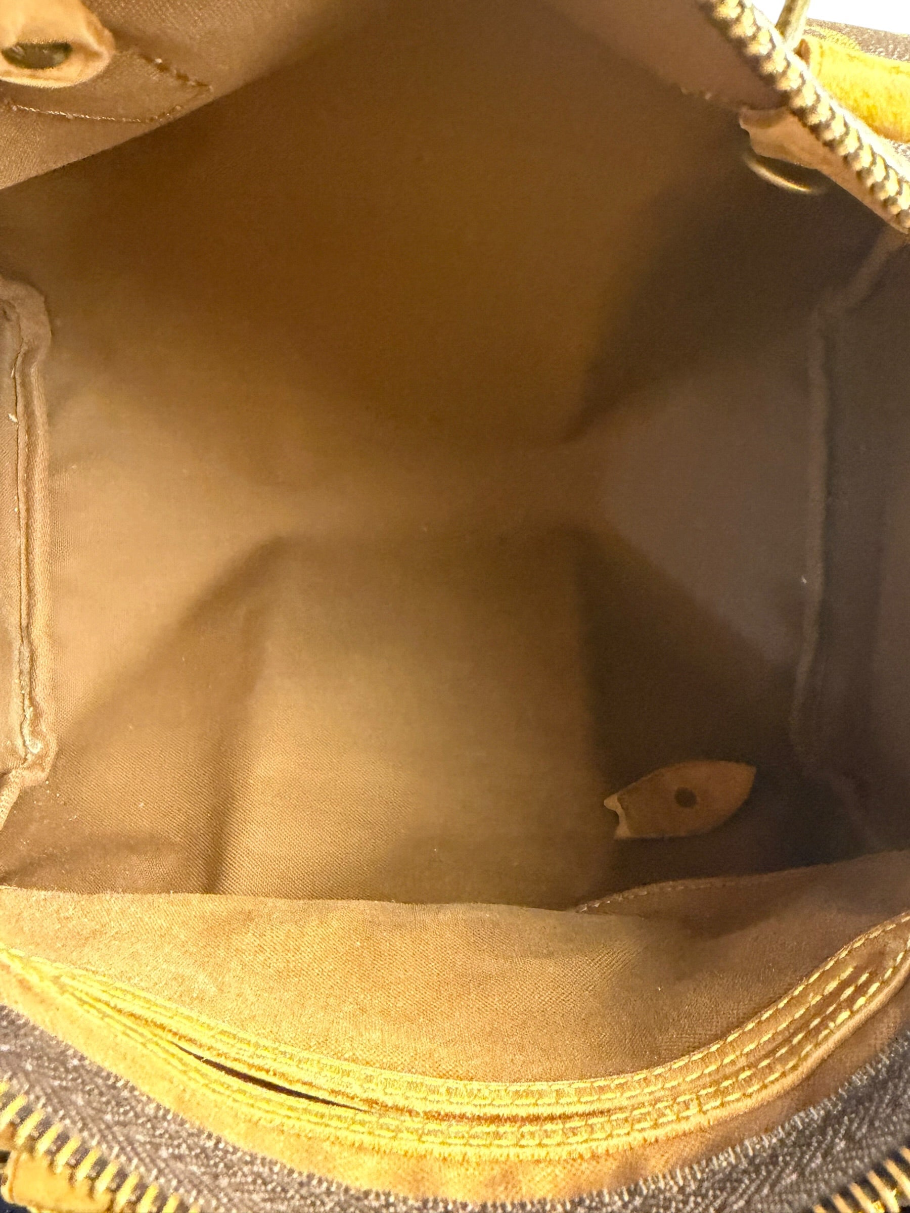 Louis Vuitton Monogram Speedy 30
