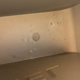 Chanel Vintage Logo Jelly Tote