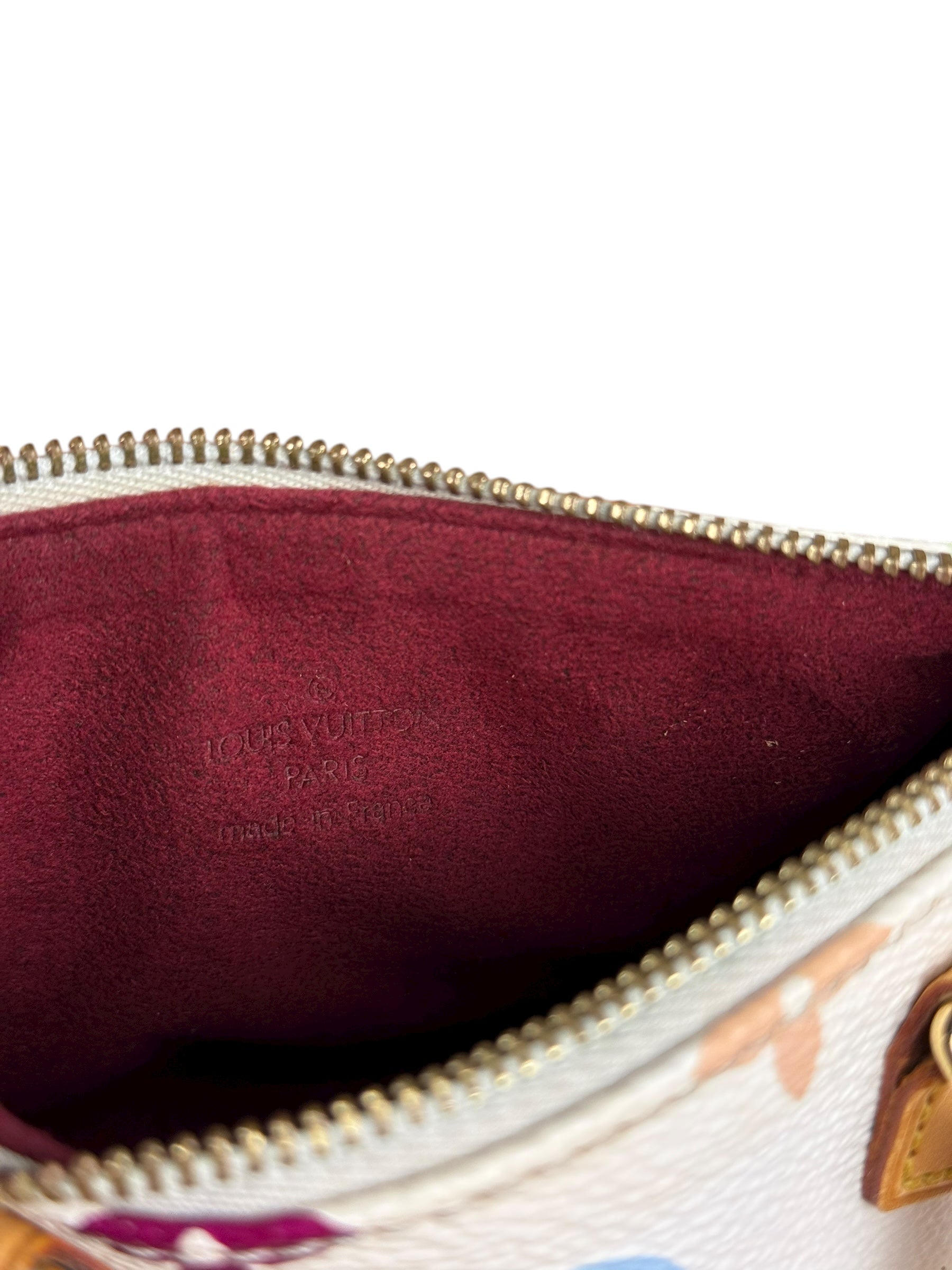 Lous Vuitton Monogram Murakami Nano Speedy