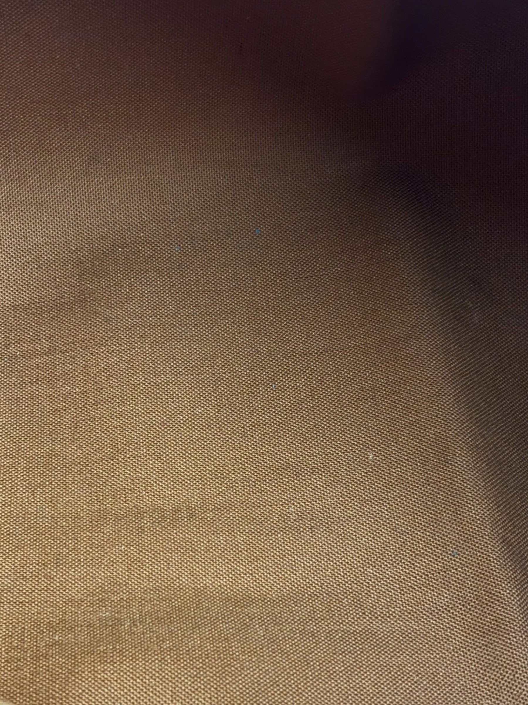 Louis Vuitton Monogram Speedy 25