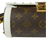 Louis Vuitton Monogram Match Papillon Trunk Two-Way Bag