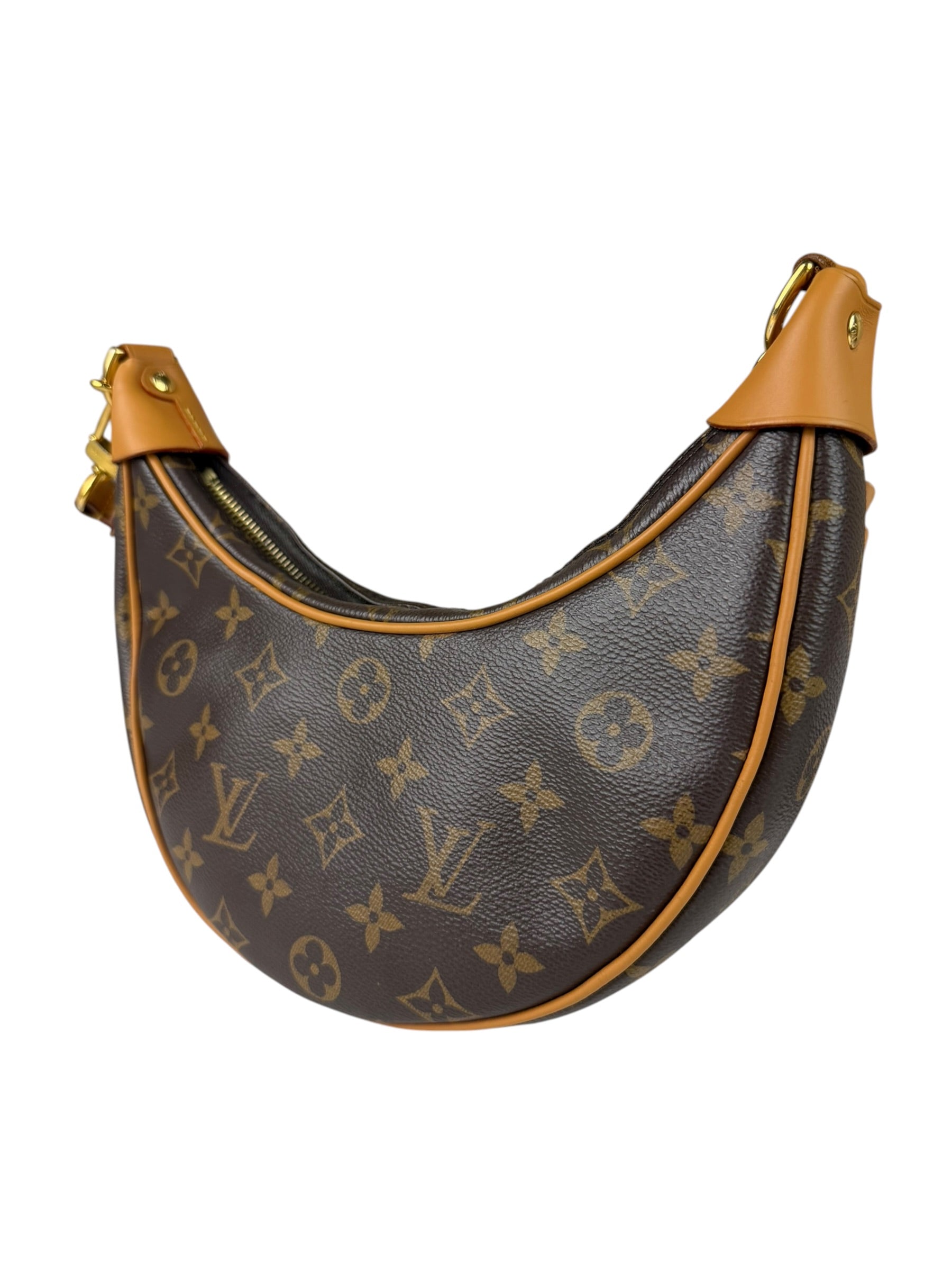 Louis Vuitton Monogram Loop Pochette