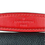 Louis Vuitton Colorblock Monogram Saint Placide Shoulder Bag