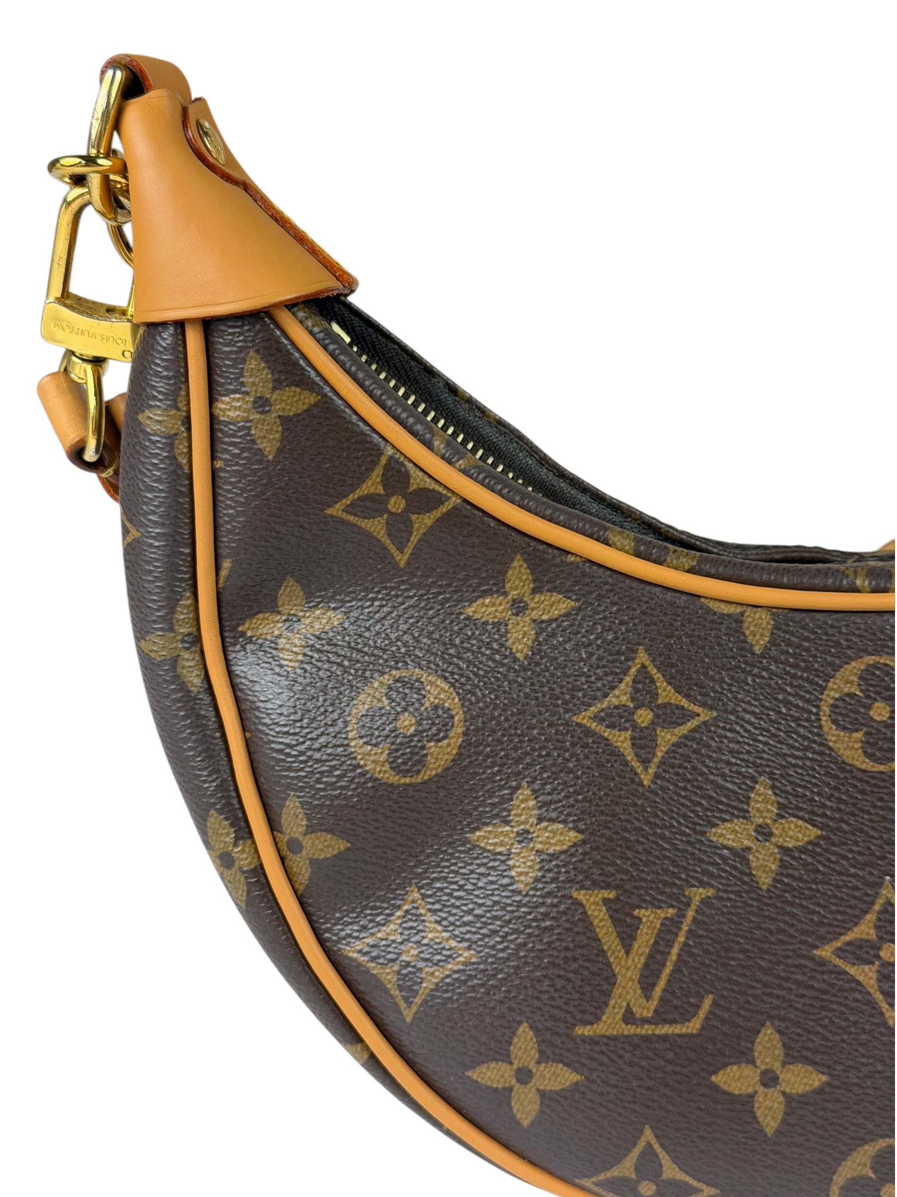 Louis Vuitton Monogram Loop Pochette
