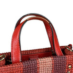 Coach Raffia Mini Tote Crossbody Bag