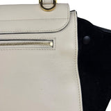 Celine Trapeze Leather 2Way Python Handle Handbag