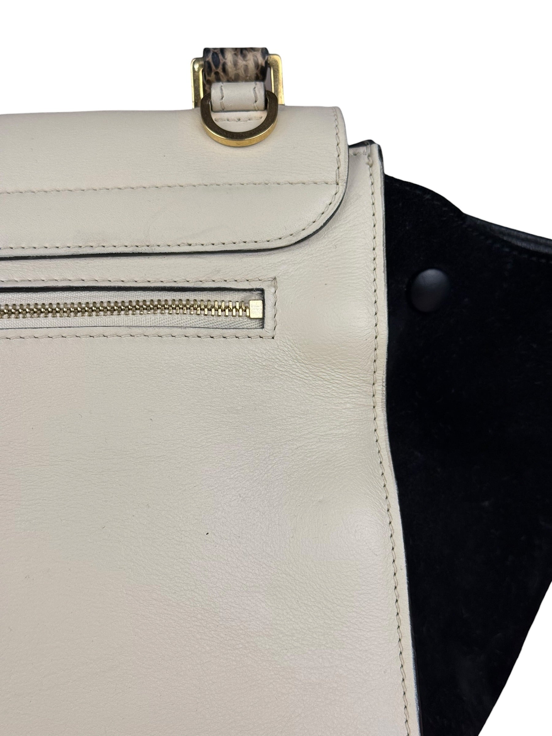 Celine Trapeze Leather 2Way Python Handle Handbag