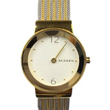 Skagen 2 Tone watch