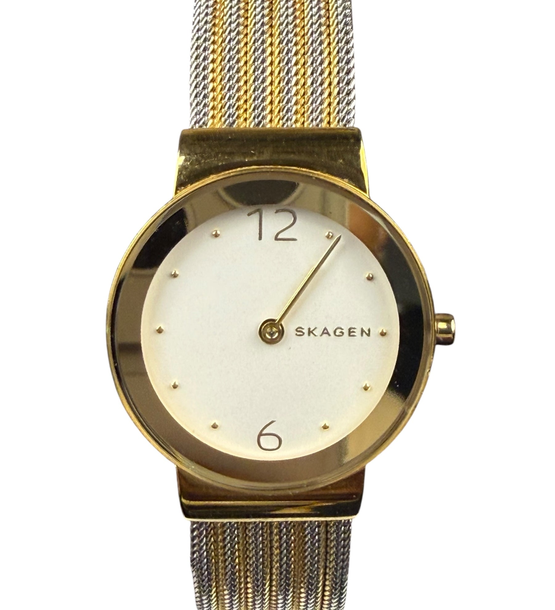 Skagen 2 Tone watch