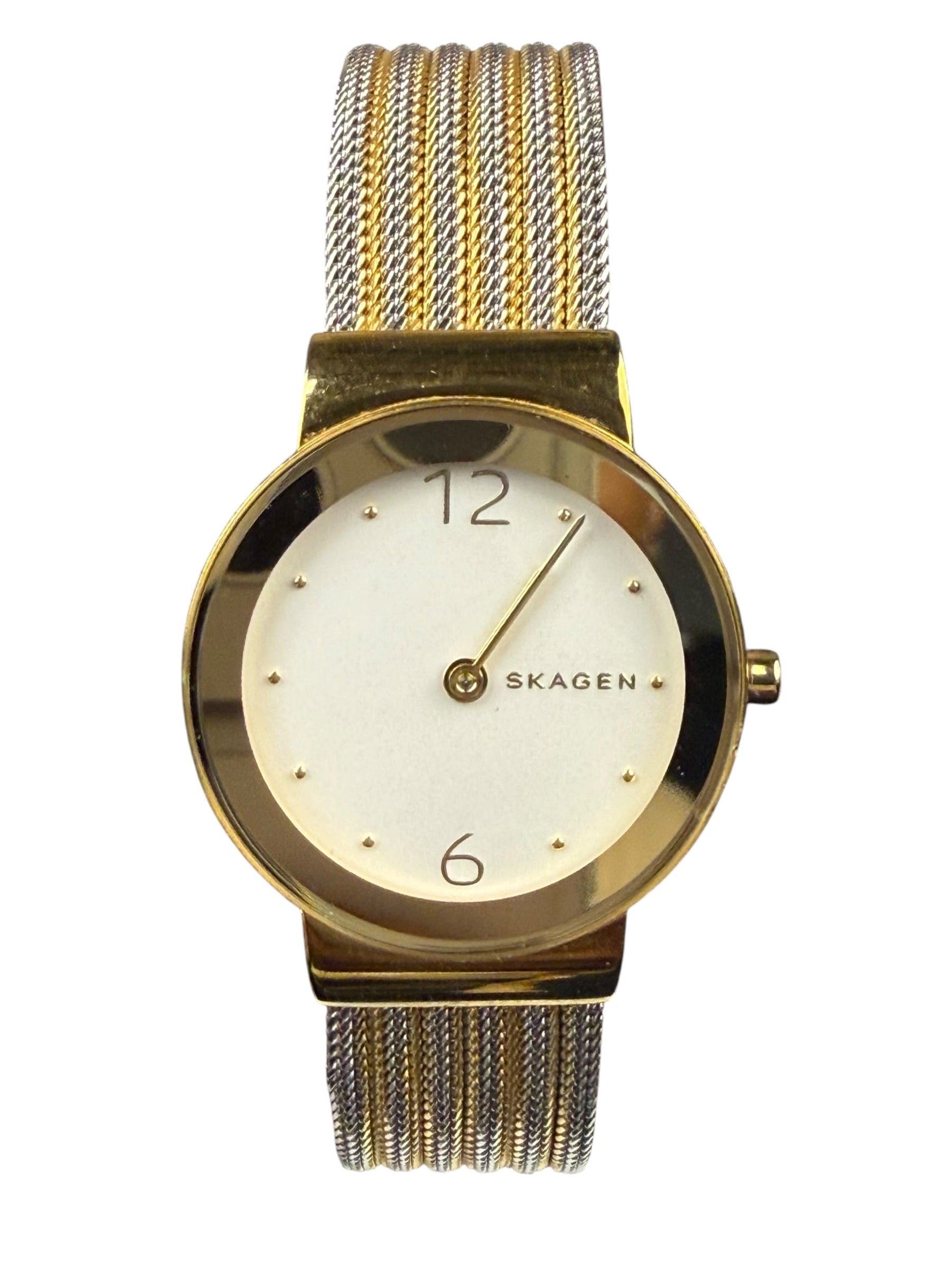 Skagen 2 Tone watch