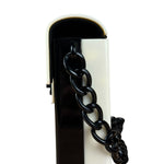 Chanel Plexi Coco Flap Crossbody 2000