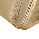 Hermes Birkin 35 Mousse Ostrich 2001