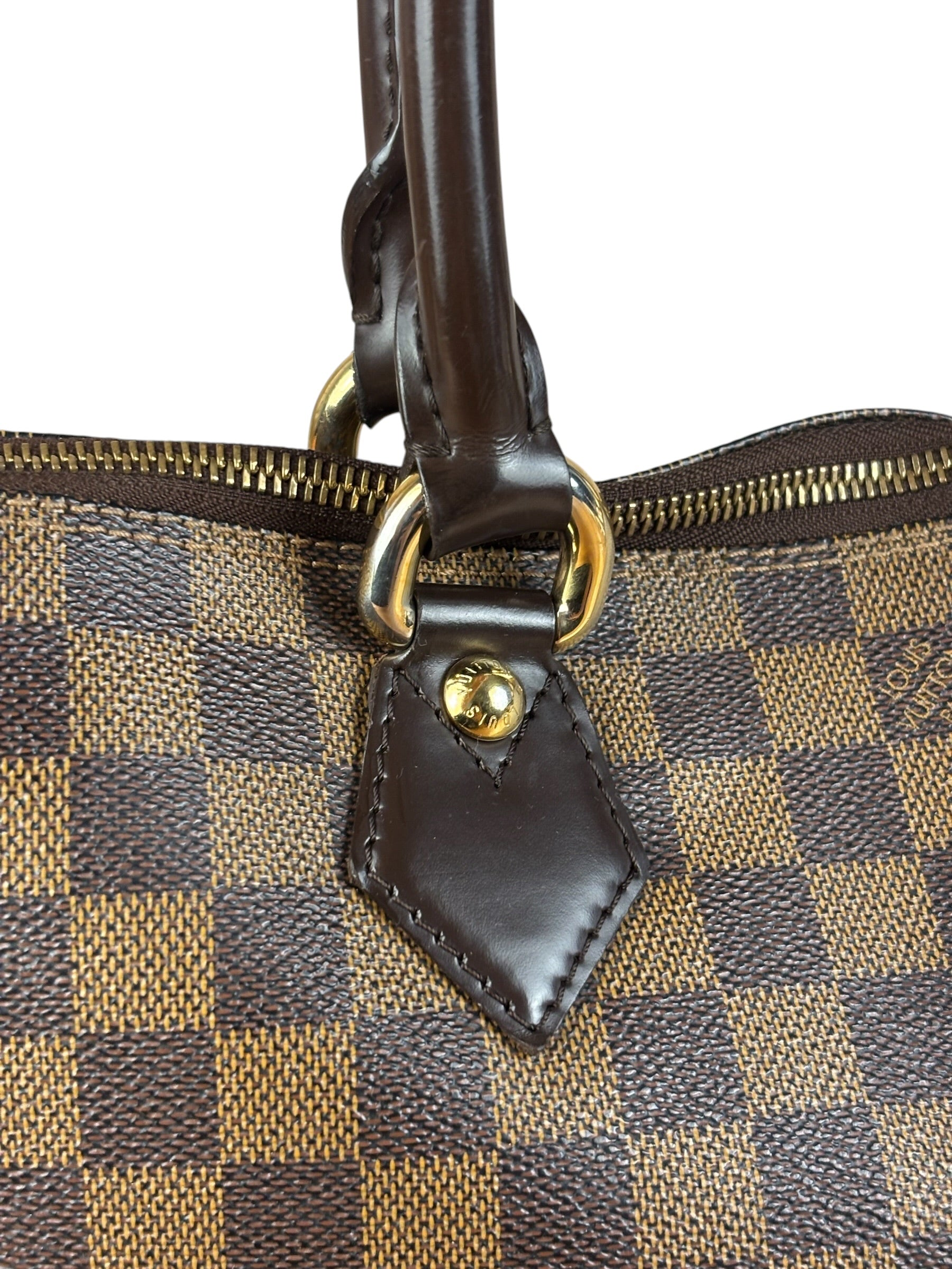 Louis Vuitton Damier Ebene Saleya Tote Bag