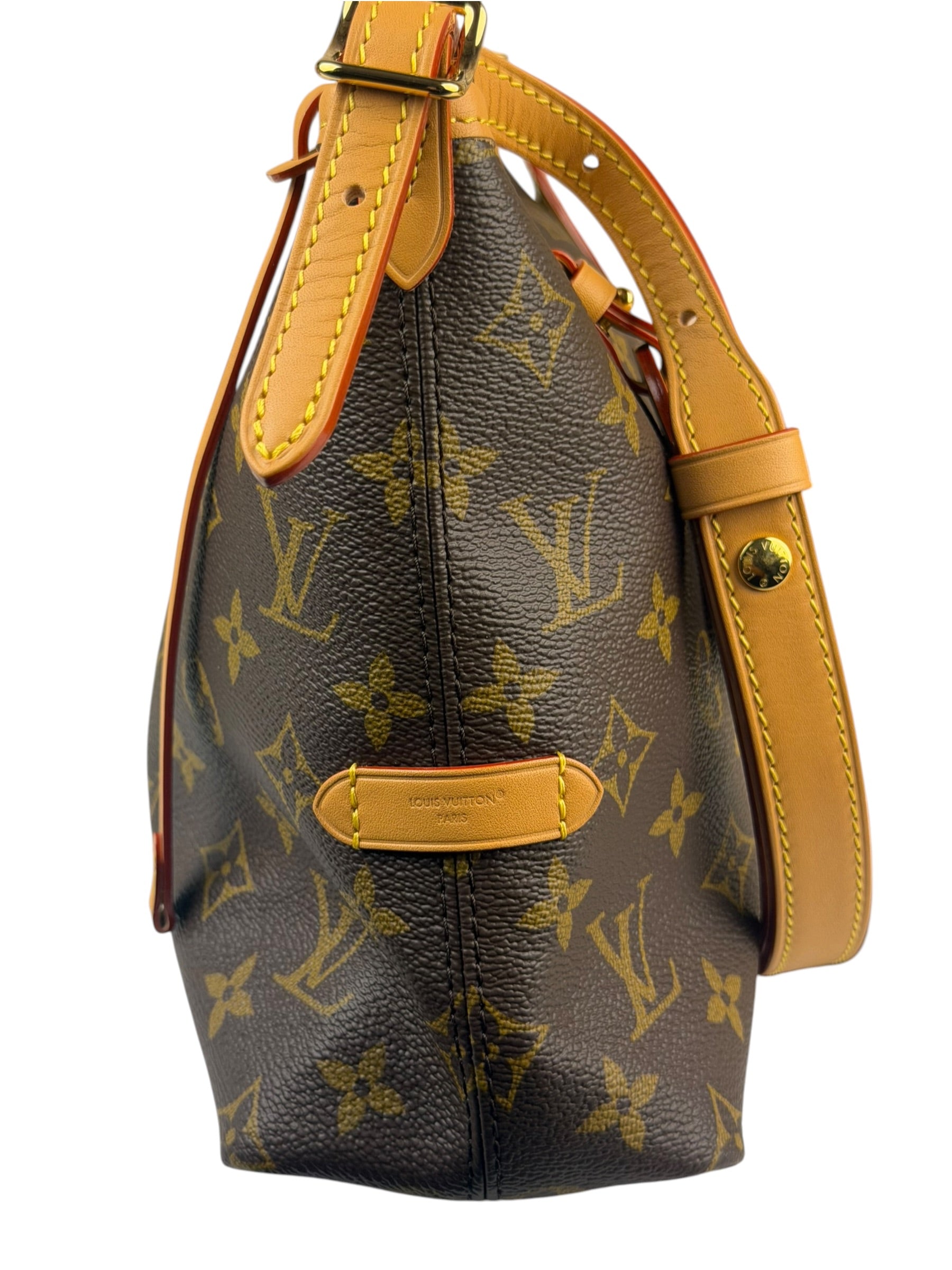 Louis Vuitton Monogram CarryAll Bag MM