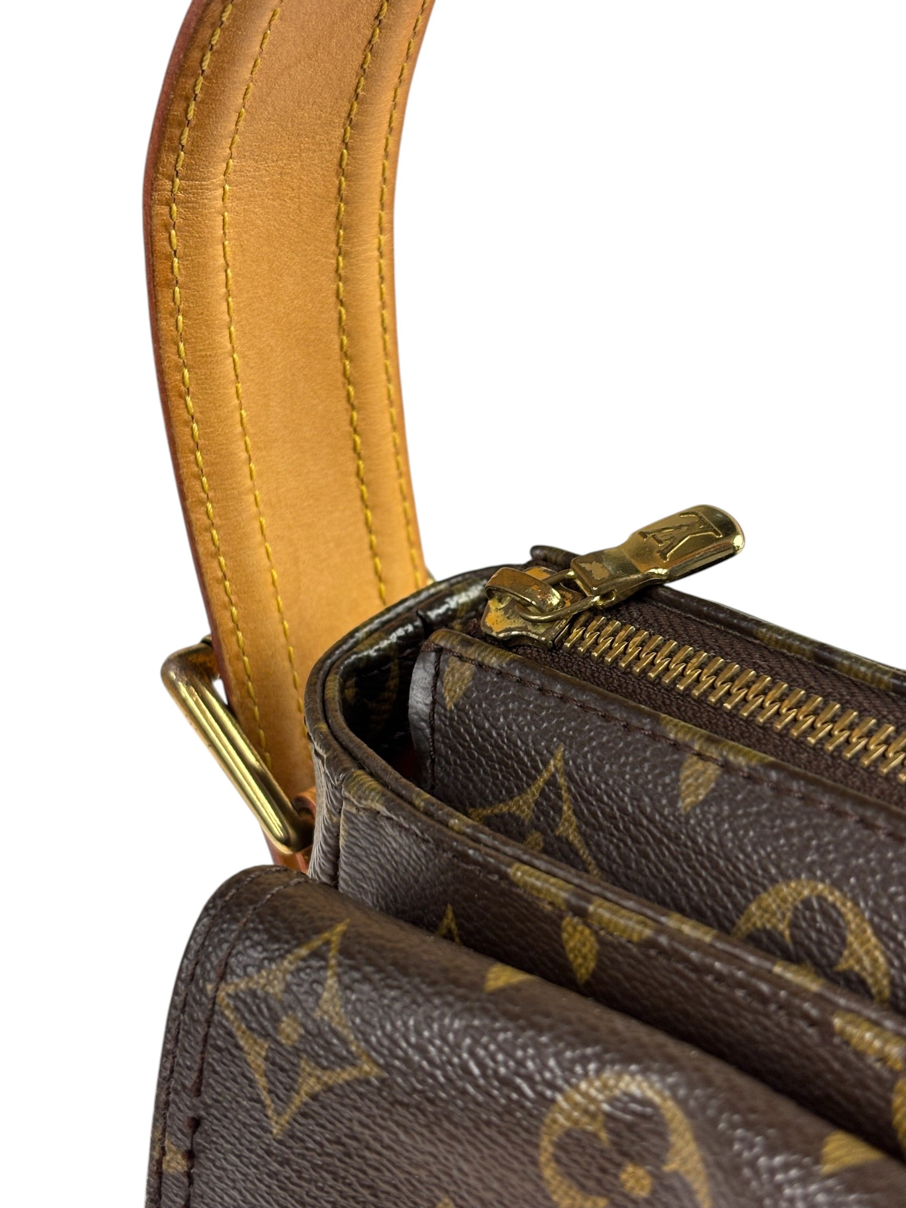 Louis Vuitton Monogram Viva Cite MM