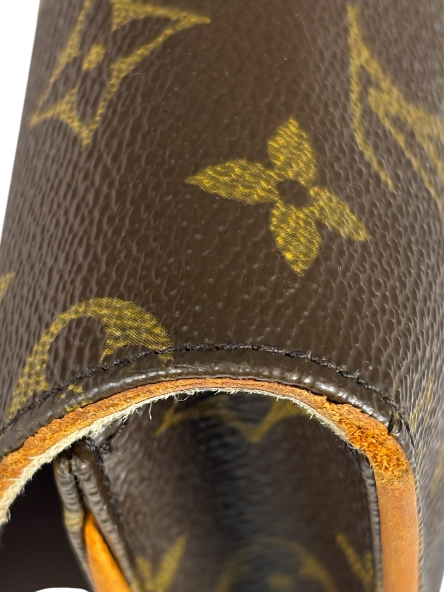 Louis Vuitton Monogram Twin Pochette