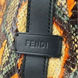 Fendi Multicolor Snakeskin Hobo Bag