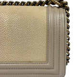 Chanel Beige Leather Boy Stingray Flap Bag 2013