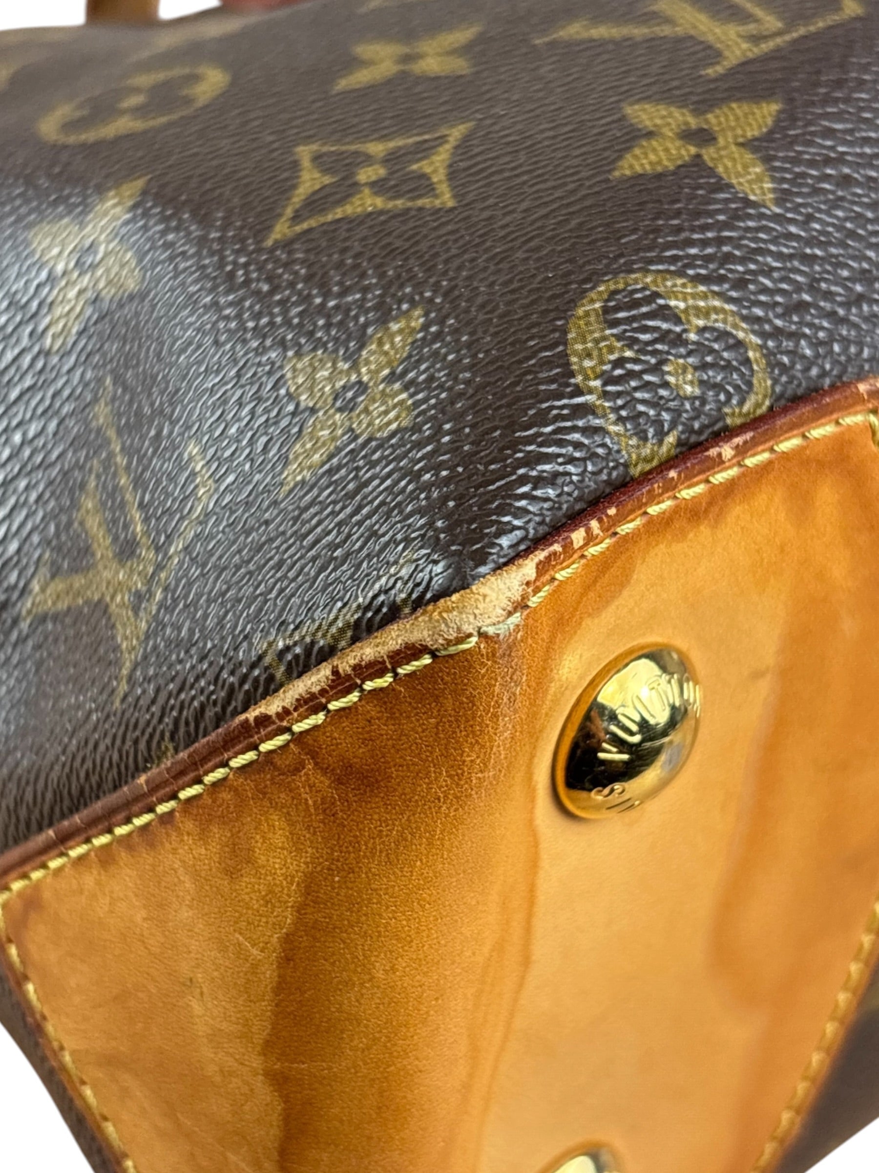 Louis Vuitton Monogram Wilshire Tote Bag